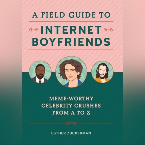 Urban Outfitters “Field Guide To Internet Boyfriends” Book - Picture 1 of 4